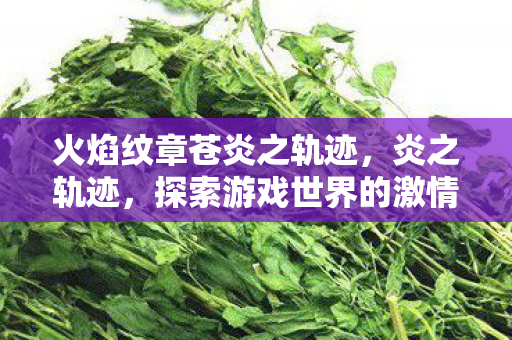 火焰纹章苍炎之轨迹，炎之轨迹，探索游戏世界的激情与梦想