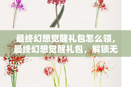 最终幻想觉醒礼包怎么领，最终幻想觉醒礼包，解锁无限可能的冒险之旅