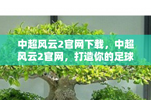 中超风云2官网下载，中超风云2官网，打造你的足球梦想