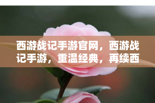 西游战记手游官网,西游战记手游,重温经典,再续西游奇缘 西游战记手游官网,西游战记手游,重温经典,再续西游奇缘