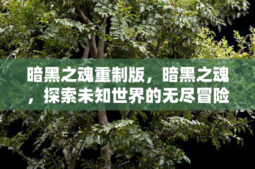 暗黑之魂重制版,暗黑之魂,探索未知世界的无尽冒险 暗黑之魂重制版,暗黑之魂,探索未知世界的无尽冒险