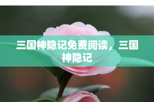 三国神隐记免费阅读，三国神隐记