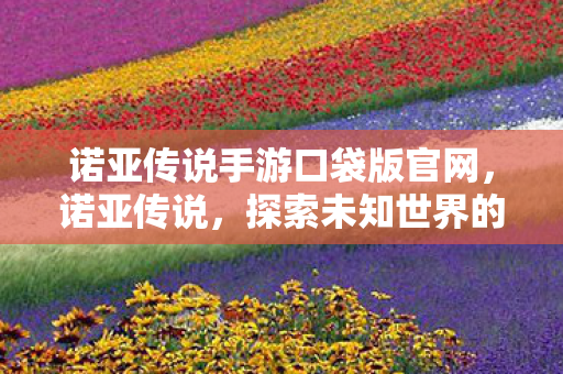 诺亚传说手游口袋版官网，诺亚传说，探索未知世界的奇幻之旅