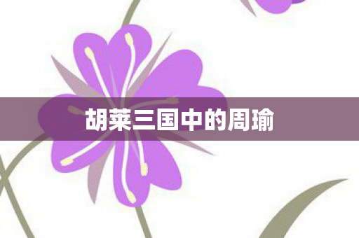 胡莱三国中的周瑜 胡莱三国中的周瑜