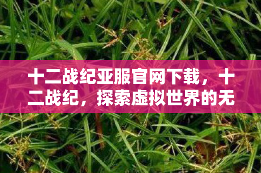 十二战纪亚服官网下载，十二战纪，探索虚拟世界的无限可能
