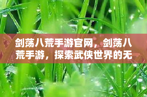 剑荡八荒手游官网，剑荡八荒手游，探索武侠世界的无尽魅力