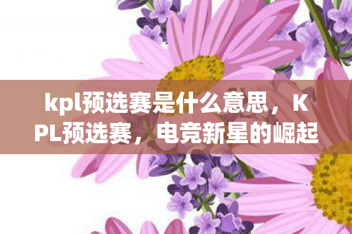 kpl预选赛是什么意思，KPL预选赛，电竞新星的崛起与挑战