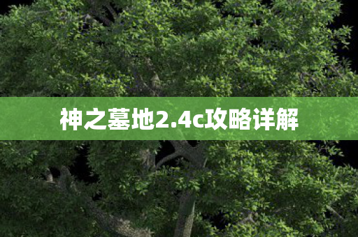 神之墓地2.4c攻略详解 神之墓地2.4c攻略详解