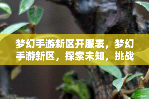 梦幻手游新区开服表，梦幻手游新区，探索未知，挑战新极限