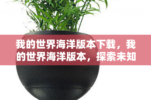 我的世界海洋版本下载，我的世界海洋版本，探索未知海域，开启奇幻冒险