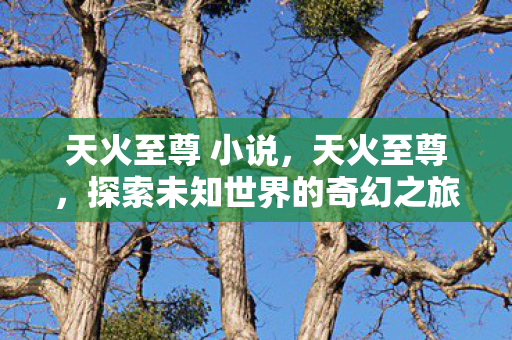 天火至尊 小说，天火至尊，探索未知世界的奇幻之旅