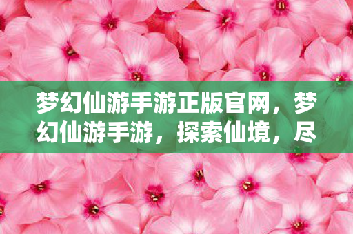 梦幻仙游手游正版官网，梦幻仙游手游，探索仙境，尽享无限乐趣