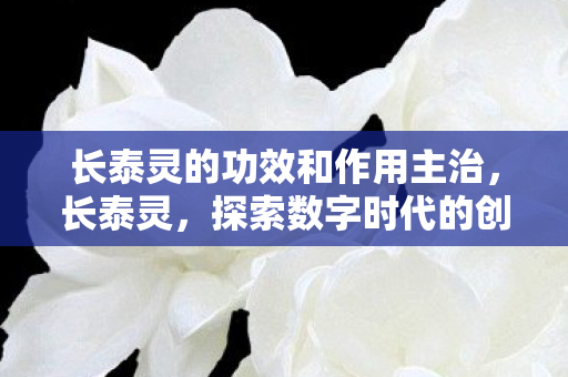 长泰灵的功效和作用主治，长泰灵，探索数字时代的创新服务