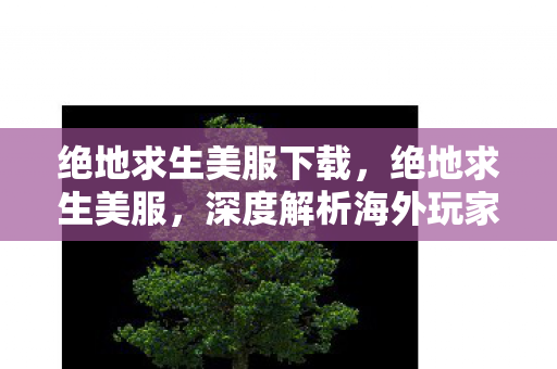 绝地求生美服下载，绝地求生美服，深度解析海外玩家的竞技体验