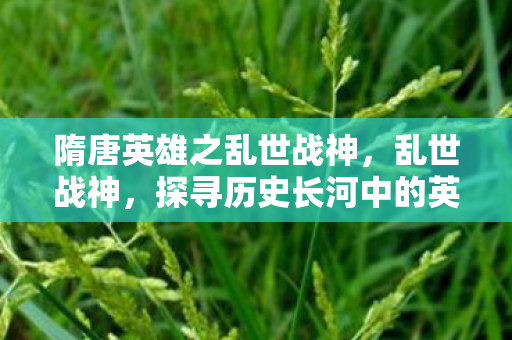 隋唐英雄之乱世战神，乱世战神，探寻历史长河中的英雄传奇