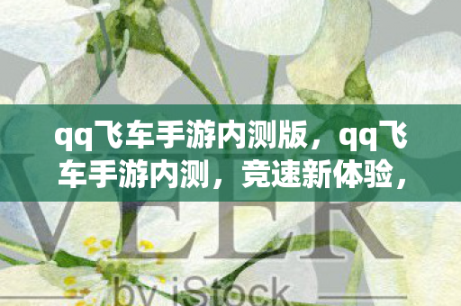 qq飞车手游内测版，qq飞车手游内测，竞速新体验，挑战新高度