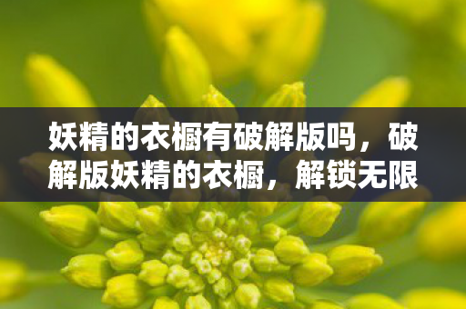 妖精的衣橱有破解版吗，破解版妖精的衣橱，解锁无限可能，尽享时尚盛宴