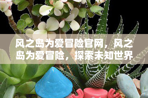 风之岛为爱冒险官网，风之岛为爱冒险，探索未知世界的浪漫之旅