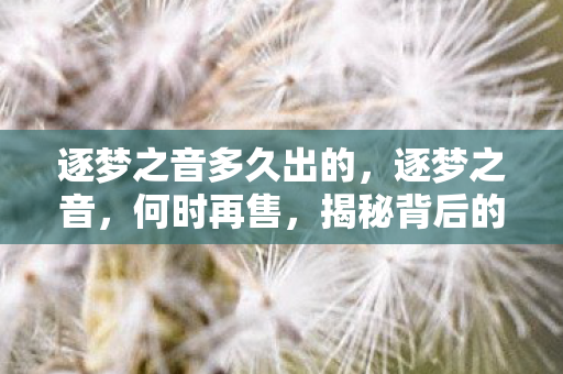 逐梦之音多久出的,逐梦之音,何时再售,揭秘背后的音乐之旅 逐梦之音多久出的,逐梦之音,何时再售,揭秘背后的音乐之旅