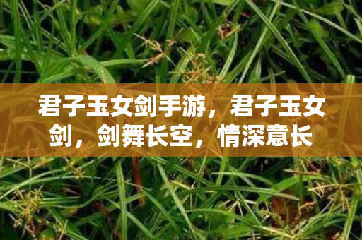 君子玉女剑手游，君子玉女剑，剑舞长空，情深意长