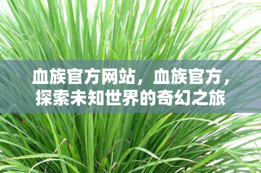 血族官方网站,血族官方,探索未知世界的奇幻之旅 血族官方网站,血族官方,探索未知世界的奇幻之旅