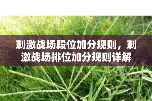 刺激战场段位加分规则,刺激战场排位加分规则详解 刺激战场段位加分规则,刺激战场排位加分规则详解