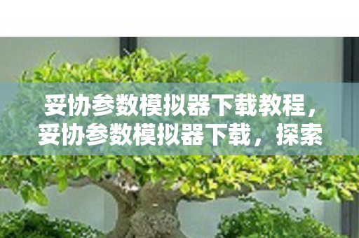 妥协参数模拟器下载教程，妥协参数模拟器下载，探索安全与效率的平衡点