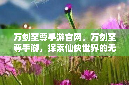 万剑至尊手游官网,万剑至尊手游,探索仙侠世界的无尽魅力 万剑至尊手游官网,万剑至尊手游,探索仙侠世界的无尽魅力