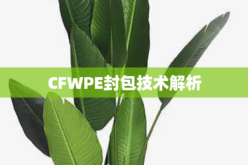 CFWPE封包技术解析