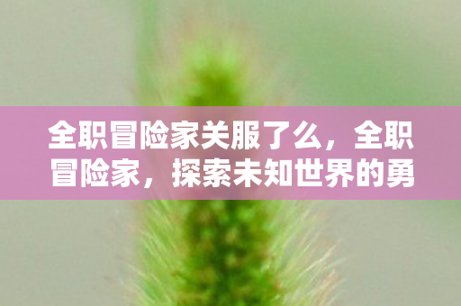 全职冒险家关服了么，全职冒险家，探索未知世界的勇者