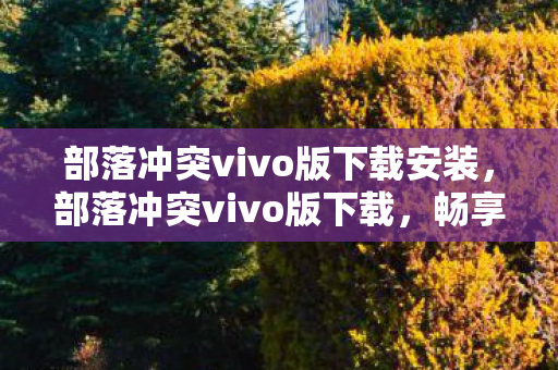 部落冲突vivo版下载安装，部落冲突vivo版下载，畅享游戏乐趣，无需担心版权问题