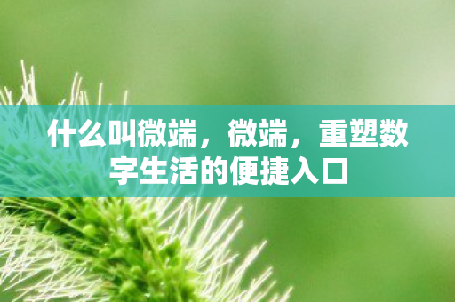 什么叫微端,微端,重塑数字生活的便捷入口 什么叫微端,微端,重塑数字生活的便捷入口