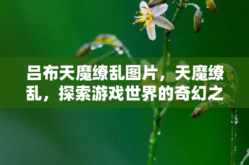 吕布天魔缭乱图片，天魔缭乱，探索游戏世界的奇幻之旅
