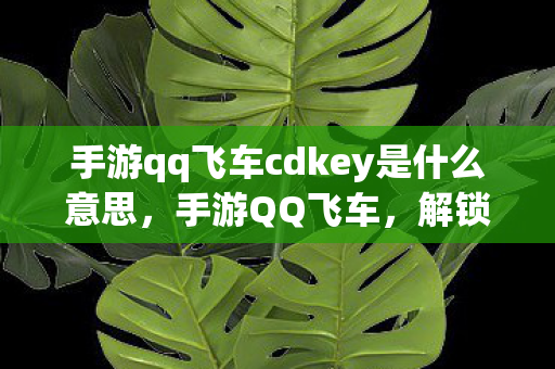 手游qq飞车cdkey是什么意思，手游QQ飞车，解锁无限可能的CDK秘籍