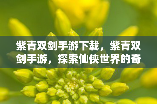 紫青双剑手游下载，紫青双剑手游，探索仙侠世界的奇妙之旅