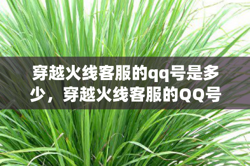 穿越火线客服的qq号是多少，穿越火线客服的QQ号，快速解决游戏问题的有效途径