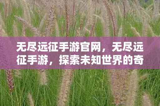 无尽远征手游官网，无尽远征手游，探索未知世界的奇幻之旅