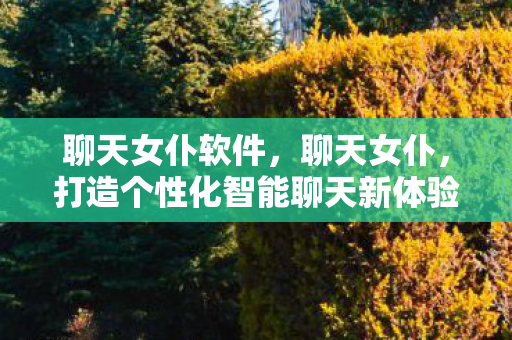 聊天女仆软件，聊天女仆，打造个性化智能聊天新体验