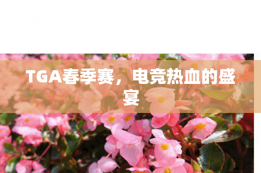 TGA春季赛,电竞热血的盛宴 TGA春季赛,电竞热血的盛宴