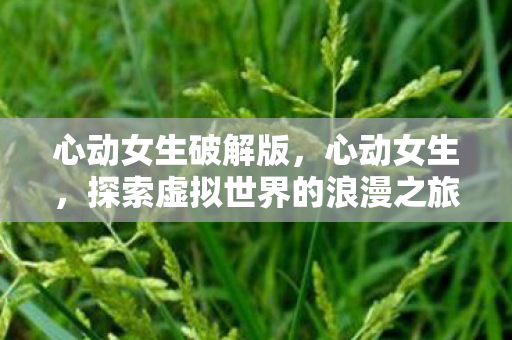 心动女生破解版,心动女生,探索虚拟世界的浪漫之旅 心动女生破解版,心动女生,探索虚拟世界的浪漫之旅