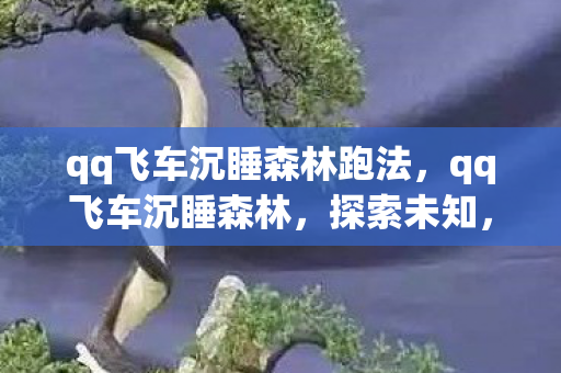 qq飞车沉睡森林跑法,qq飞车沉睡森林,探索未知,挑战极限 qq飞车沉睡森林跑法,qq飞车沉睡森林,探索未知,挑战极限