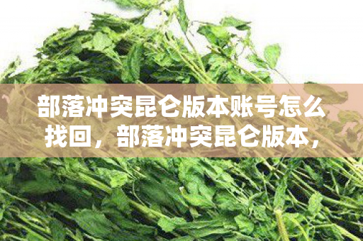 部落冲突昆仑版本账号怎么找回,部落冲突昆仑版本,探索未知世界的奇妙之旅 部落冲突昆仑版本账号怎么找回,部落冲突昆仑版本,探索未知世界的奇妙之旅