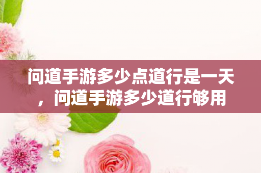 问道手游多少点道行是一天，问道手游多少道行够用
