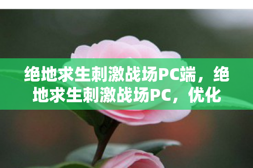 绝地求生刺激战场PC端，绝地求生刺激战场PC，优化设置与战术策略的全面指南