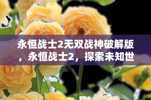 永恒战士2无双战神破解版，永恒战士2，探索未知世界的无尽冒险