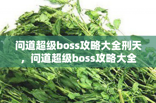 问道超级boss攻略大全刑天，问道超级boss攻略大全