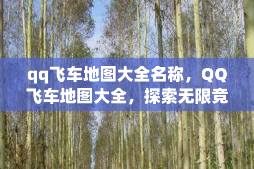 qq飞车地图大全名称，QQ飞车地图大全，探索无限竞速之旅