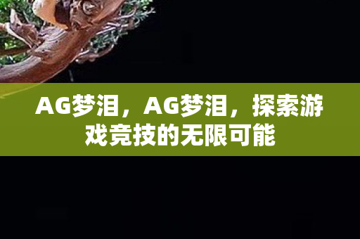 AG梦泪，AG梦泪，探索游戏竞技的无限可能