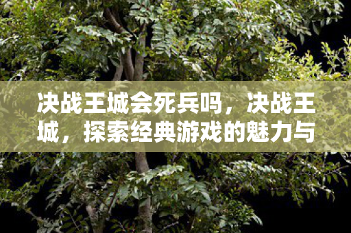 决战王城会死兵吗，决战王城，探索经典游戏的魅力与传奇