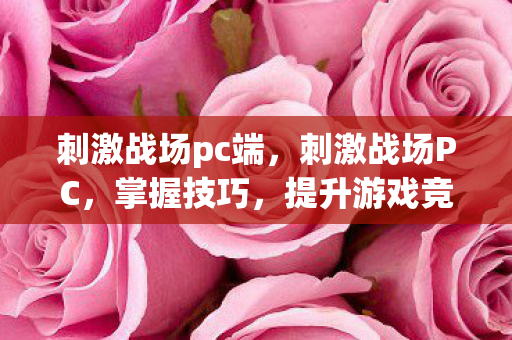 刺激战场pc端，刺激战场PC，掌握技巧，提升游戏竞技水平